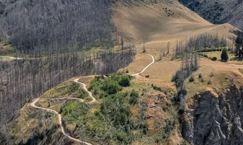 A female motorcyclist navigating a stunning off-road trail in Queenstown, part of the GOAT experience – an exclusive motorcycle tour for women led by experienced riders and supported by expert guides.